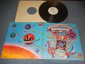 DR. BUZZARD'S SAVANNAH BAND - GOES TO WASHINGTON (Ex++/Ex+++ EDSP)  / 1979 US AMERICA ORIGINAL "WHITE LABEL PROMO" Used LP 