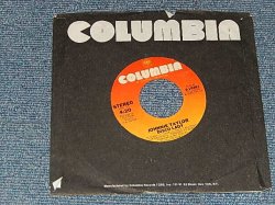 画像1: Johnnie Taylor - A)Disco Lady  B)	You're The Best In The World (Ex+++/Ex+++) / 1976 US AMERICA ORIGINAL Used 7" Single  