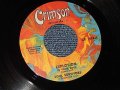 SOUL SURVIVORS (Soft Rock Psyche) - A)Explosion In Your Soul   B)Dathon's Theme (MINT-/MINT-) / 1967 US AMERICA ORIGINAL Used 7" 45 rpm