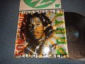 ZIGGY MARLEY And The Melody Makers - CONSCIOUS PARTY (With CUSTOM INNER SLEEVE) (MINT-/MINT-)  / 1988 US AMERICA ORIGINAL Used 2-LP