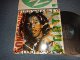 ZIGGY MARLEY And The Melody Makers - CONSCIOUS PARTY (With CUSTOM INNER SLEEVE) (MINT-/MINT-)  / 1988 US AMERICA ORIGINAL Used 2-LP