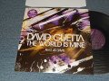 David Guetta - The World Is Mine (Ex+++/Ex+++) / 2004 FRANCE FRENCH ORIGINAL Used LP
