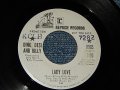 Dino, Desi & Billy  - A)Lady Love (BRIAN WILSON)  B)A Certain Sound  (MINT-/MINT- STPOL) / 1970 US AMERICA ORIGINAL "WHITE LABEL PROMO" Used 7" Single 