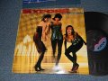 EXPOSE - EXPOSE (MINT-/Ex++ Looks:Ex+++) / 1987 US AMERICA ORIGINAL Used LP 
