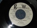 The HOLIDAYS (SOUL CHORUS Group)   - A) I’ll Love You Forever   B) Makin' Up Time (Ex++/Ex++) / 1966 US AMERICA ORIGINAL "WHITE LABEL PROMO" Used 7"45 