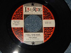 画像1: The SHAGS - A) I CALL YOUR NAME (Cover of The Beatles)   B) HIDE AWAY (Ex+/Ex+)/ 1966 US AMERICA ORIGINAL "PROMO" Used 7" 45rpm Single