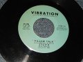 SHIRLEY AND COMPANY - A) PILLOE TALK   B) MY THING (Ex/Ex) / /1973 US AMERICA ORIGINAL Used 7"45 