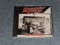 画像1: Ramblin' James & The Billyboppers - Burn One Down! (NEW) / 2000 GERMANY GERMAN ORIGINAL "BRAND NEW" CD 