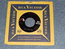 画像1: The YOUNGBLOODS - A) GRIZZELY BEAR B)TEARS ARE FALLING  (A:MINT-/ B:MINT-) / 1966 US AMERICA ORIGINAL Used 7"45rpm Single
