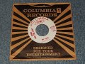Jamie And The Jury - A) My Kind   B) Fooling Around (A:Ex+++ /  B:Ex+++) / 1966 US AMERICA ORIGINAL "WHITE LABEL PROMO" Used 7"45rpm Single