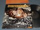 STEPPENWOLF - AT YOUR BIRTHDAY PARTY (Ex+/Ex+++ EDSP) / 1969 US AMERICA ORIGINAL Used LP 