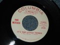 THE MUSIC - IT'S  THE LITTLE THINGS A)MONO   B) MONO (A:MINT /  B:MINT) / 1966 US AMERICA ORIGINAL "PROMO ONLY SAME FLIP WHITE LABEL PROMO" Used 7"45rpm Single