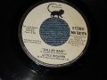 LITTLE RICHARD - CALL MY NAME (SAME FLIP)(A:Ex+++ / B:Ex+++) / 1975 US AMERICA ORIGINAL"PROMO ONLY SAME FLIP ST/ST" Used 7" 45 rpm Single  