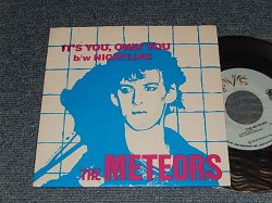 画像1: The METEORS - A) IT'S YOU, ONLY YOU   B)NIGHT LIFE (NEW) / 1979 US AMERICA ORIGINAL "BRAND NEW" 7" Single with PICTURE SLEEVE