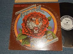 画像1: ROBERT HUNTER With GERRY GARCIA of GRATEFUL DEAD -  TIGER ROSE (Ex/Ex+++ EDSP) / 1975 US AMERICA ORIGINAL Used LP 
