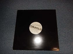 画像1: The NEVILLE BROTHERS - SISTER ROSA (Ex++/MINT-) / 1989 US AMERICA ORIGINAL Used 12"