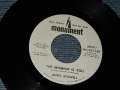 JAMES ROSWELL - THE MOMENT IS YOU  A) MONO   B) STEREO (MINT-/MINT-) / 1969 US AMERICA ORIGINAL "PROMO ONLY SAME FLIP" Used 7"45 rpm