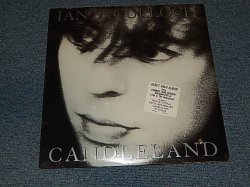 画像1: IAN McCULLOCH (Echo And The Bunnymen) - CANDLELAND (SEALED BB) /1989 CANADA ORIGINAL "BRAND NEW SEALED" LP 