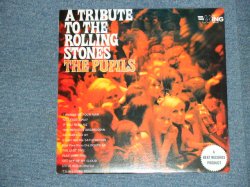 画像1: THE PUPILS - TRIBUTE TO THE ROLLING STONES  /1996?  GERMAN? REISSUE  Brand New LP