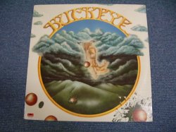 画像1: BUCKEYE - BUCKEYE  / 1979 US ORIGINALSEALED LP