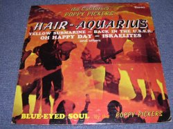 画像1: THE CALIFORNIA POPPY PICKERS - HAIR-AQUARIUS / 1969 US ORIGINAL Stereo LP 