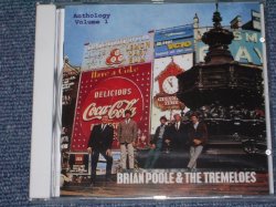画像1: BRIAN POOLE & THE TREMELOES -BIG BIG HITS OF '62 ( ORIGINAL ALBUM + BONUS )/ 1995 GERMANY SEALED CD