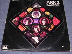 画像1: FLAMING YOUTH ( W/PHIL COLLINS) - ARK 2  / 1969 US ORIGINAL LP 