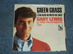 画像1: GARY LEWIS & THE PLAYBOYS - GREEN GRASS /1966  US ORIGINAL 7"SINGLE + PICTURE SLEEVE 