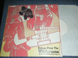 画像1: v.a. OMUNIBUS  - ECHOES FROM THE WILDERNESS : Sixteen UK R&B Freakbeat Trippers / 1990's EU BOOT LP Brand New Limited 400 Copies DEAD STOCK 