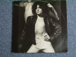 画像1: T-REX - CELEBRATE SUMMER /　1977  UK ORIGINAL 7"SINGLE  + PICTURE SLEEVE 