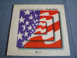 画像1: FLESH START - WHAT AMERICA NEEDS   / 1974 US ORIGINAL LP