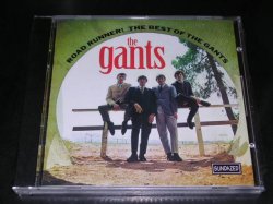 画像1: THE GANTS - ROAD RUNNER ! THE BEST OF (SEALED)  /  2003 US AMERICA  "BRAND NEW SEALED" CD