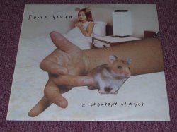 画像1: SONIC YOUTH  - A THOUSAND LEAVES  /  1998 EU ORIGINAL NEW 2LP's