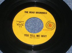 画像1: THE BEAU BRUMMELS - YOU TELL ME WHY / 1965 US ORIGINAL 7"45 Single