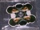 RINGO STARR ( THE BEATLES ) - INTERVEW SHAVED PICTURE DISC CD  / 1990s  NEW CD