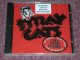 STRAY CATS - RECORDED LIVE IN HOLLAND 30TH JULY / 2004 US ORIGINAL Sealed CD  