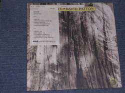 画像1: DAVID PATTON - BUCKEYE  /  1972 US PROMO ORIGINAL LP