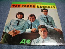 画像1: YOUNG RASCALS - THE YOUNG RASCALS ( Ex+/Ex+ )   / 1966 STEREO US ORIGINAL LP