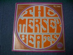 画像1: THE MERSEY BEATS -THE MERSEY BEATS  /  1965 UK REISSUE Mono  LP