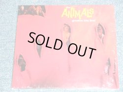 画像1: THE  ANIMALS -  GREATEST HITS LIVE ! ( ORIGINAL ALBUM + BONUS ） / 2008 GERMAN Brand New SEALED CD 