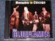THE BLUEFLAMES - MEMPHIS TO CHICAGO / 199? UK EU Brand New CD  