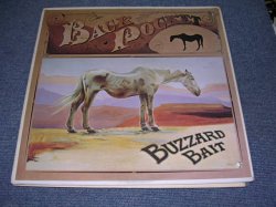 画像1: BACK POCKET - BUZZARDE BAIT  / 1976 US ORIGINAL LP 