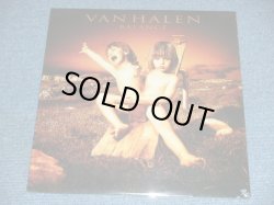 画像1: VAN HALEN - BALANCE / 1995 US ORIGINAL Brand New SEALED LP With DRAW Jcket??