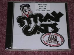 画像1: STRAY CATS - RECORDED LIVE IN LIZERN 27TH JULY/ 2004 US ORIGINAL Sealed CD  