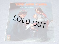 画像1: TEE AND CARA - AS THEY ARE / 1960s  US ORIGINAL STEREO LP 