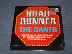 画像1: THE GANTS - ROAD RUNNER / 1965 US ORIGINAL MONO LP 