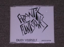 画像1: FRANTIC FLINTSTONES - ENJOY YOURSELF / 1994 ORIGINAL Brand New Sealed Limited Maxi-CD  