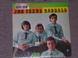 画像1: YOUNG RASCALS -THE YOUNG RASCALS ( Ex+/Ex++ )/ 1966 US ORIGINAL LP 