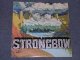 STRONGBOW - STRONGBOW  /  1975 US ORIGINAL LP 