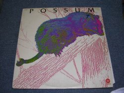 画像1: POSSUM ( With RY COODER ) -  POSSUM  /  1970s US ORIGINAL LP